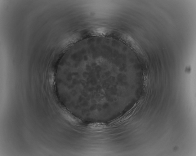 X0000097470331200802221241