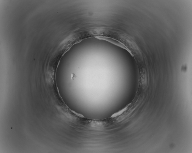 X0000097470332200802221241