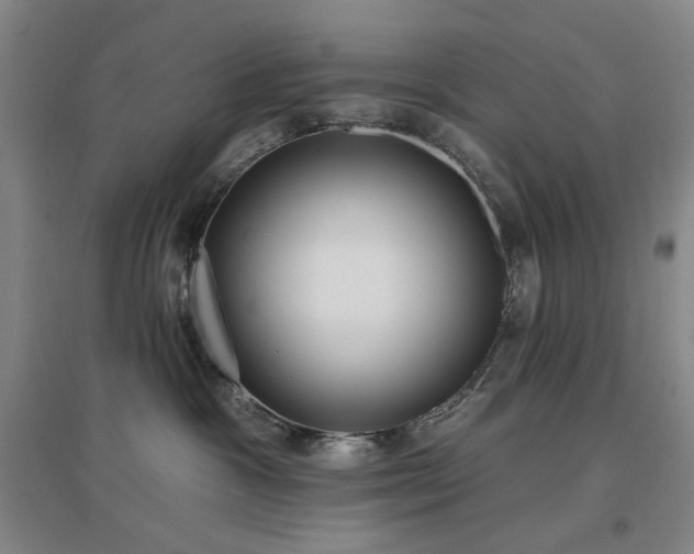 X0000097470333200802221241