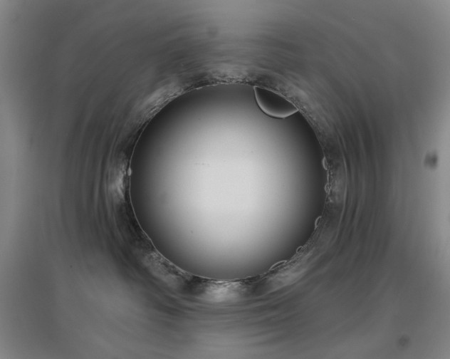 X0000097470334200802221241