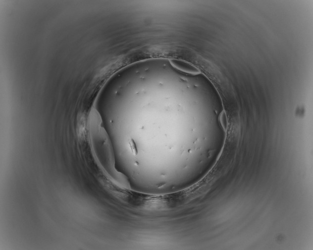 X0000097470335200802221241