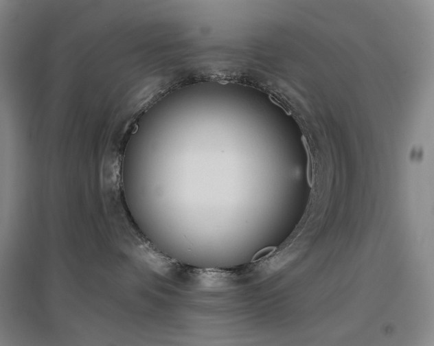 X0000097470336200802221241