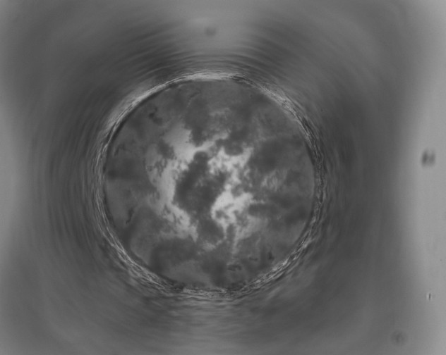 X0000097470337200802221240