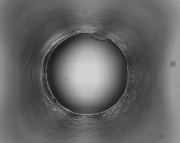 X0000097470338200802221240