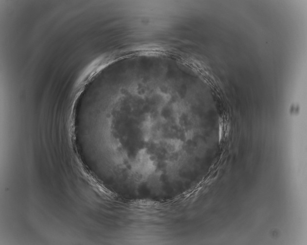 X0000097470339200802221240