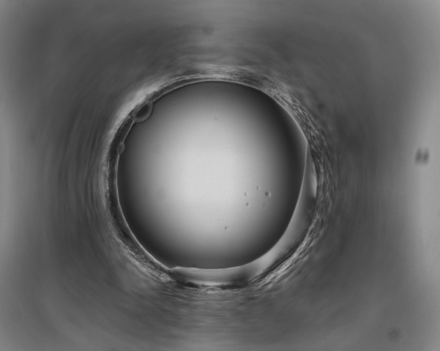 X0000097470342200802221240
