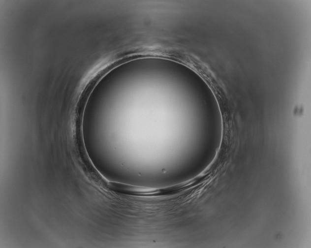 X0000097470344200802221240