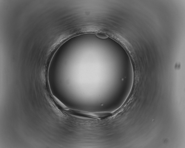 X0000097470345200802221240