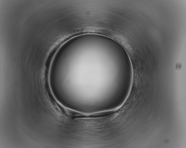 X0000097470346200802221240