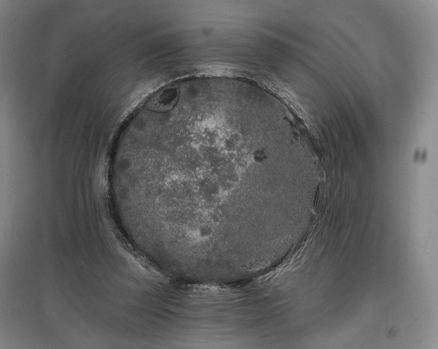 X0000097470347200802221241
