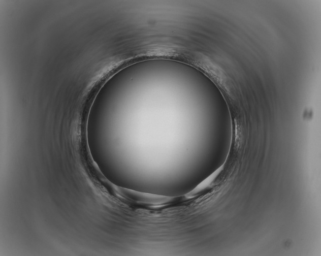 X0000097470348200802221241