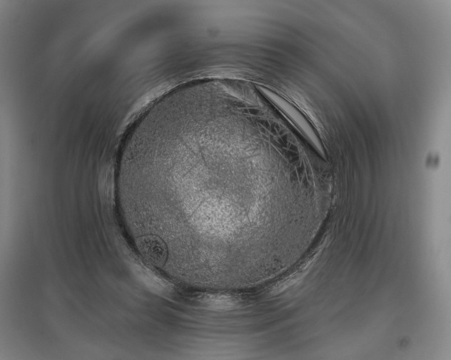 X0000097470349200802221241