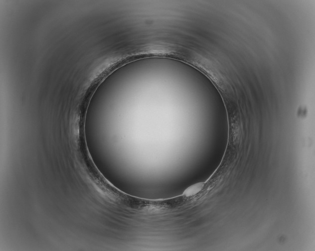 X0000097470350200802221241