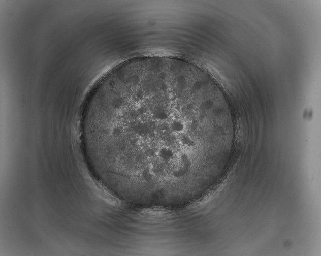 X0000097470351200802221241