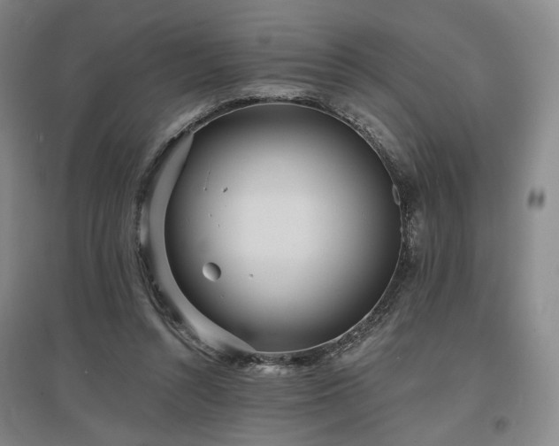 X0000097470352200802221241