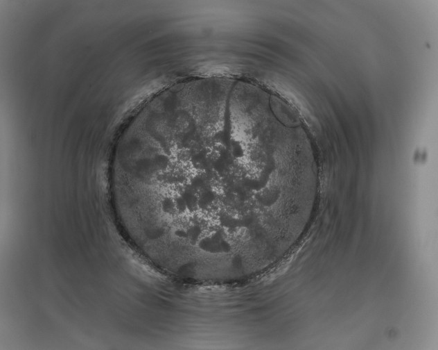 X0000097470353200802221241