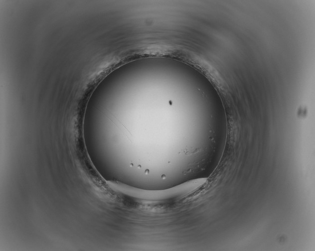 X0000097470354200802221241