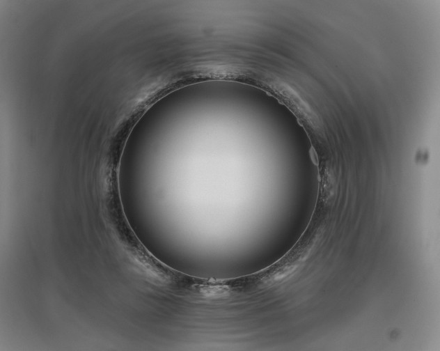 X0000097470355200802221241