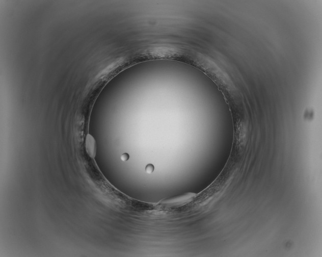 X0000097470356200802221241