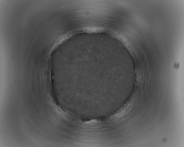 X0000097470357200802221241