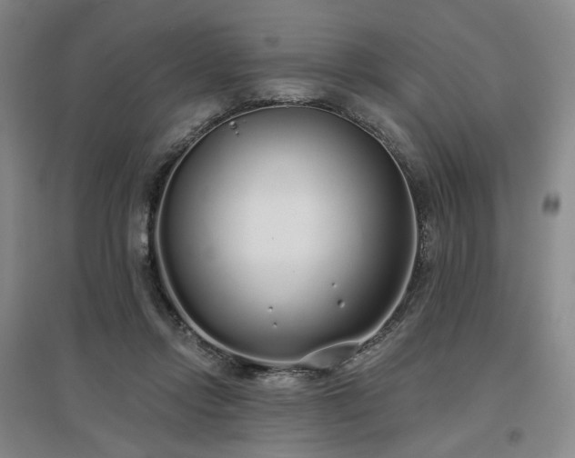 X0000097470358200802221241