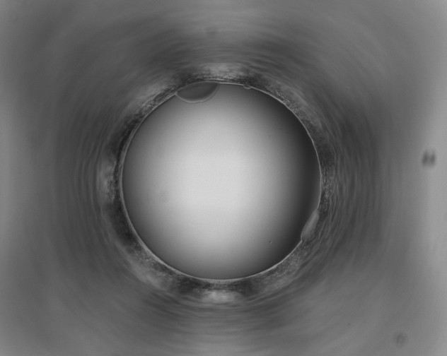 X0000097470360200802221241