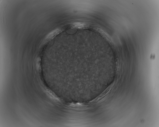 X0000097470361200802221241