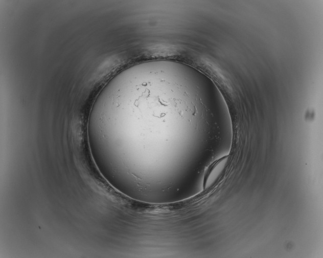 X0000097470362200802221241