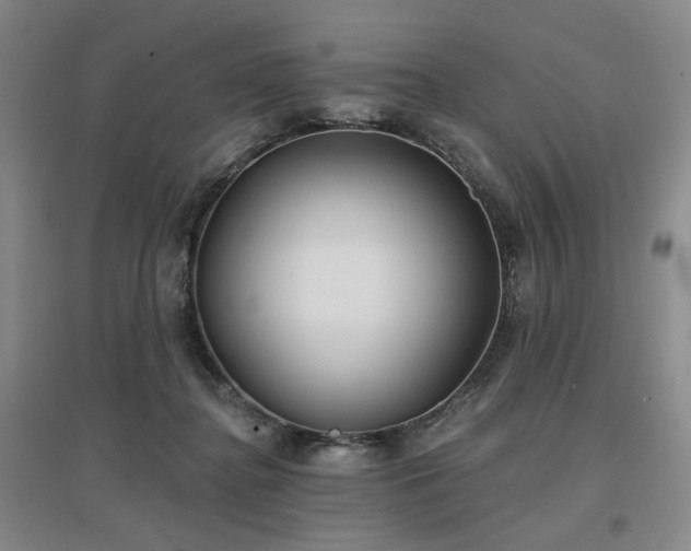 X0000097470364200802221241