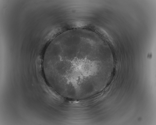 X0000097470366200802221241