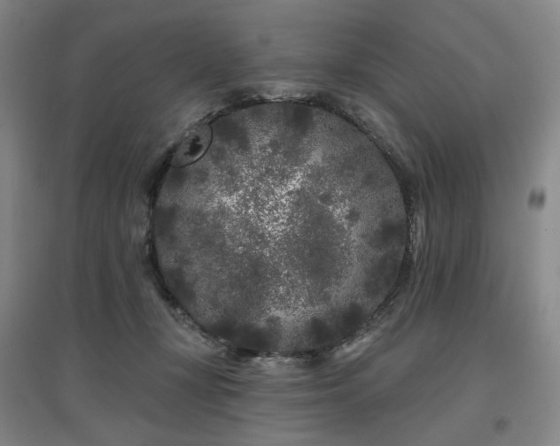 X0000097470367200802221241