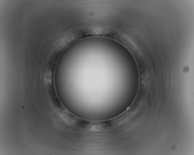 X0000097470368200802221241