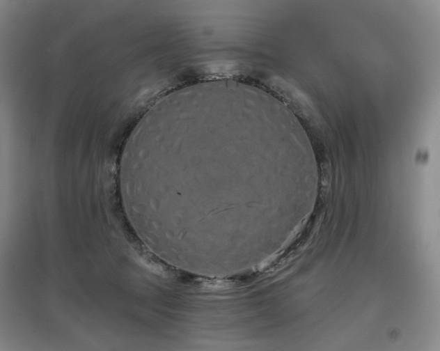 X0000097470369200802221241