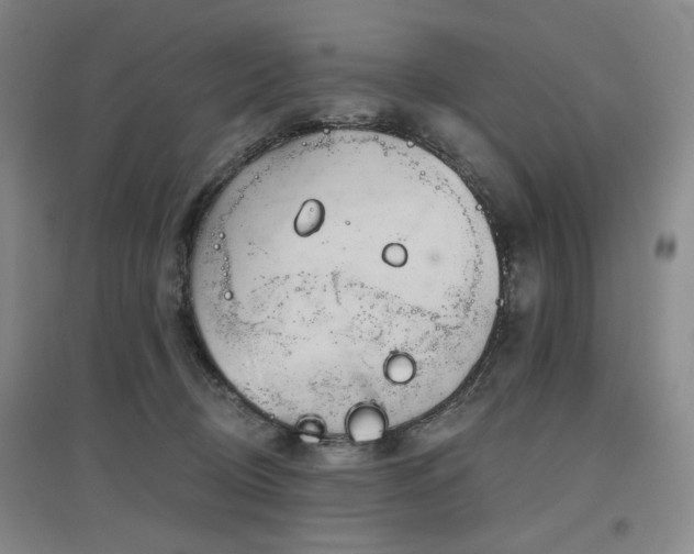 X0000097470370200802221241