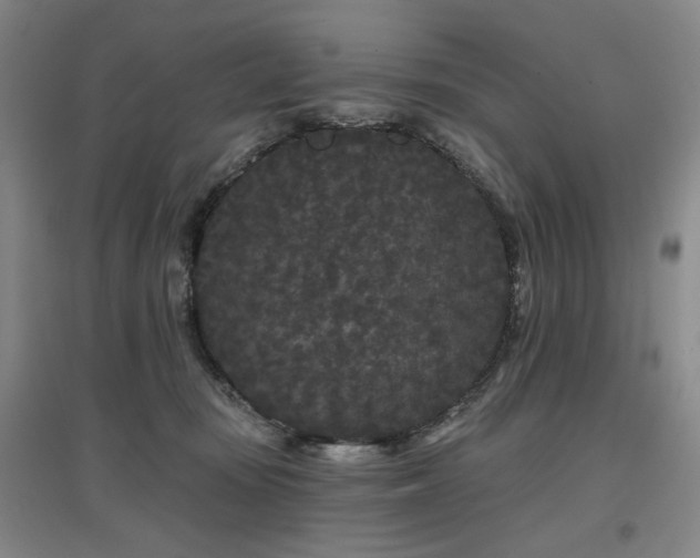 X0000097470371200802221241