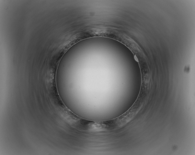 X0000097470372200802221241