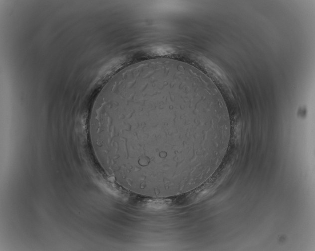 X0000097470373200802221241