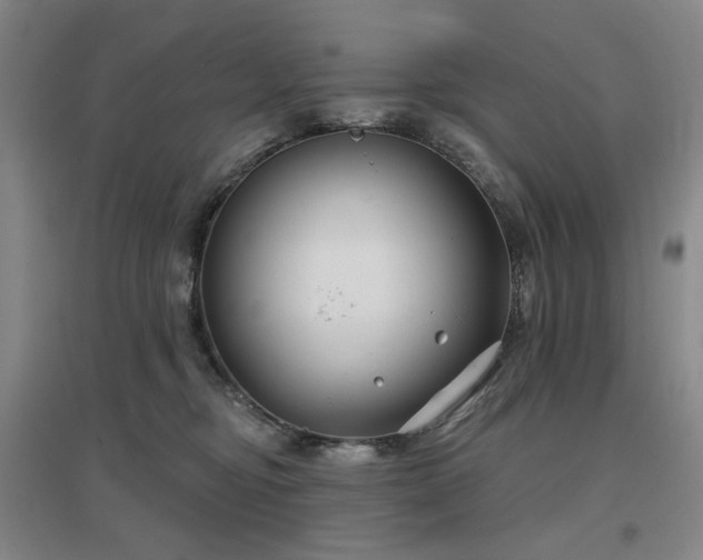 X0000097470374200802221241