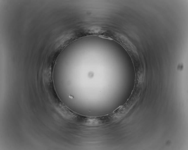 X0000097470376200802221241