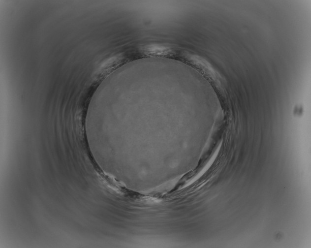 X0000097470377200802221241