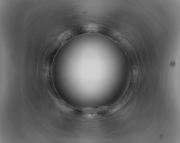 X0000097470379200802221241