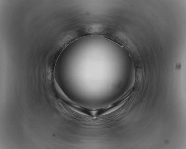 X0000097470380200802221241