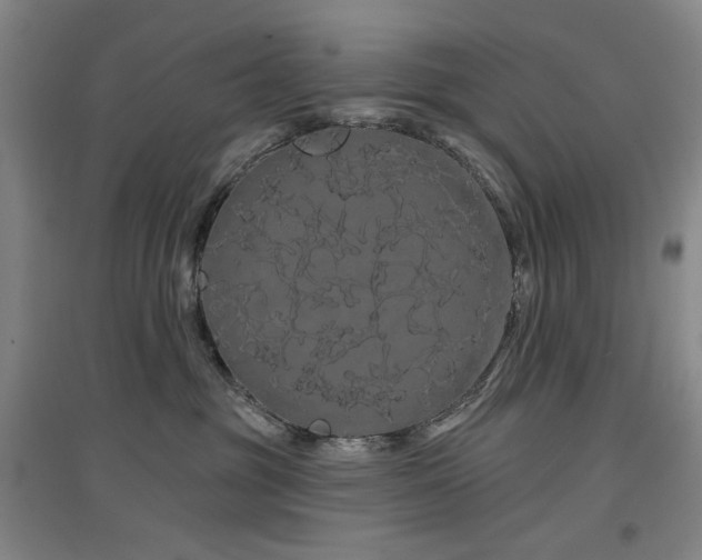 X0000097470381200802221241