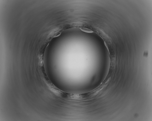 X0000097470383200802221241