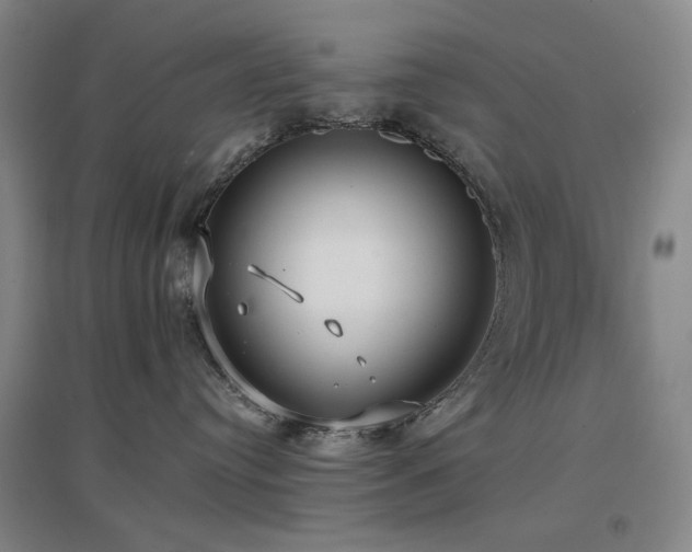 X0000097470384200802221241
