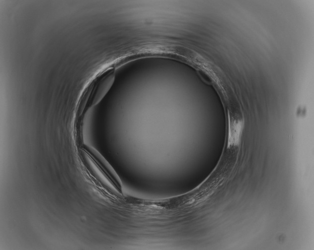 X0000097470387200802221240