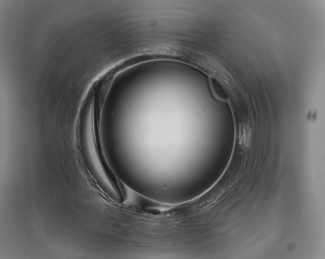 X0000097470388200802221240