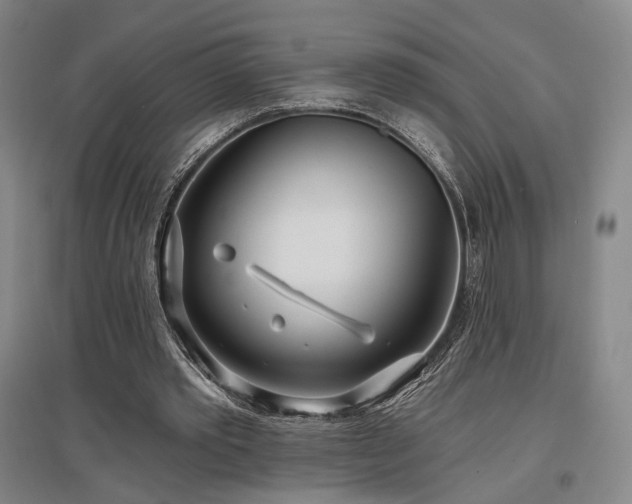 X0000097470389200802221240