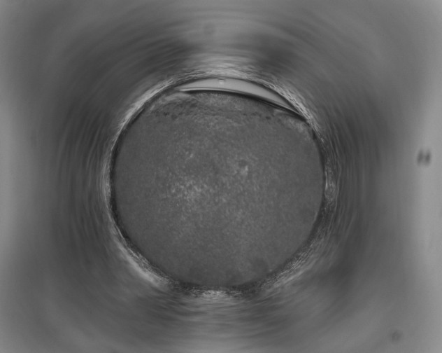 X0000097470390200802221240