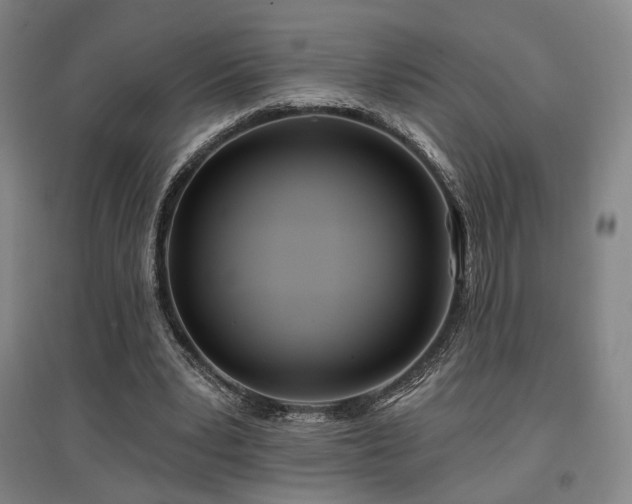 X0000097470391200802221240